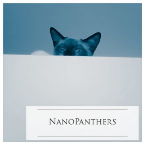 Download track Tiger Striped Cat NanoPanthers