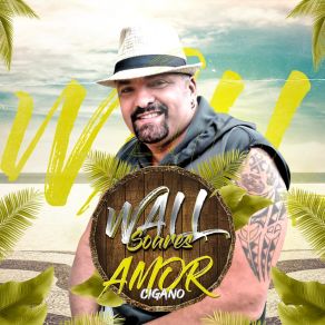 Download track Tapa Na Bundinha Wall Soares