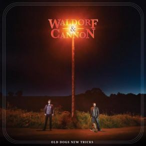 Download track Old Dogs New Tricks Waldorf And Cannon