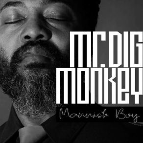 Download track Keep It To Myself (Radio Edit) Mr. Dig Monkey