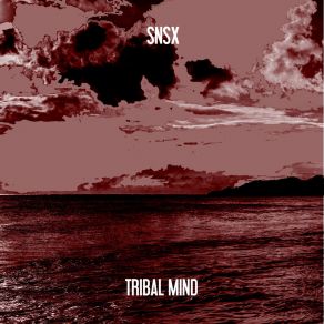 Download track Tribal Mind (Righini Traxxx Open Season Mix) SNSX