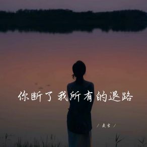 Download track 你断了我所有的退路 麦吉