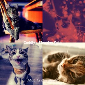 Download track Dreams - Kittens Music For Cats Society