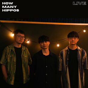 Download track 白條紋 (Live) 几何码 How Many Hippos