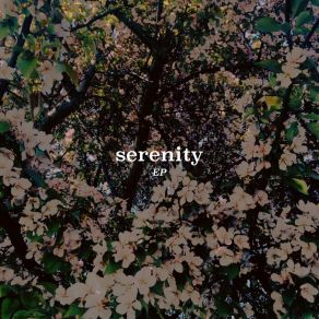 Download track Serenity Camley