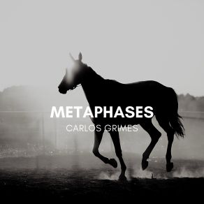 Download track Metaphases Carlos Grimes