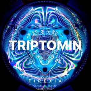 Download track Broken-Port TRIPTOMIN