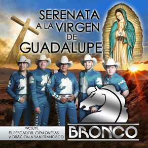 Download track Paloma Blanca Bronco!