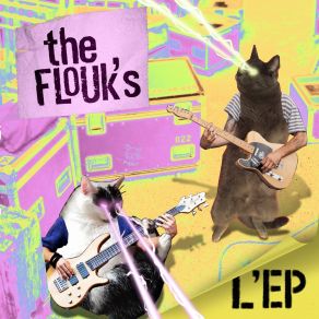 Download track The Chaos Around The Flouk's