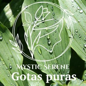 Download track Humor Pesado Mystic Serene