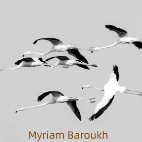 Download track We Have Myriam Baroukh