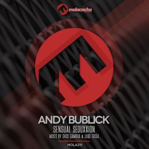 Download track Sensual Seduxxion (Chus Lamboa & Luigi Gucia Mix) Andy Bublick