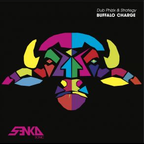 Download track Buffalo Charge Strategy, Dub Phizix