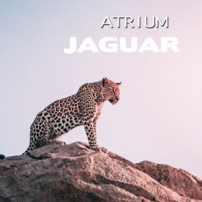 Download track Jaguar (Extended Mix) Atrium