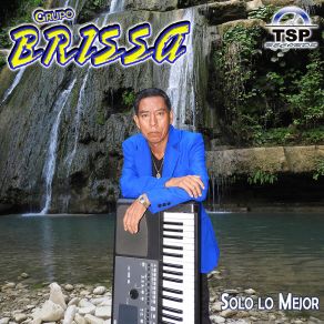 Download track El Caballito Huasteco Grupo Brissa