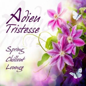 Download track Adieu Tristesse Bellevie