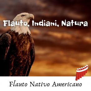 Download track Ethnic Soundscapes (Canyon Sound) Flauto Nativo Americano