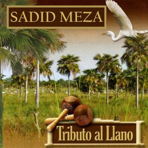 Download track Alma Doliente Sadid Meza