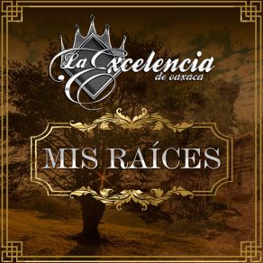 Download track Dime Quien Es La Excelencia De Oaxaca