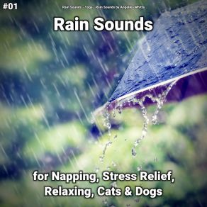 Download track Pure Rain Sounds For Calming Baby Rain Sounds By Angelika Whitta