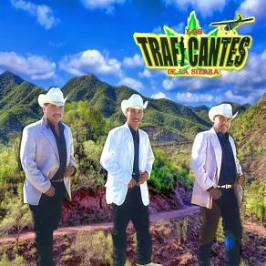 Download track Corrido De José Güerito (En Vivo) Los Traficantes De La Sierra