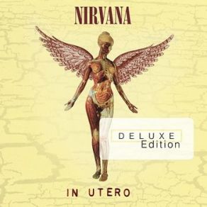 Download track Heart Shaped Box (2013 Mix) Nirvana