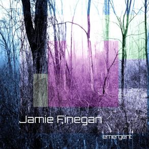 Download track Simple Tune Jamie Finegan