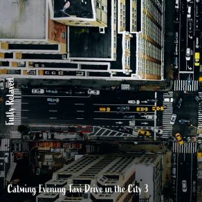 Download track Calming Evening Taxi Drive In The City, Pt. 1 Steve Brassel