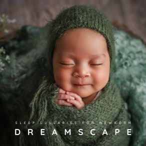 Download track Gossamer Wings Nocturne Sleep Lullabies For Newborn