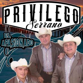 Download track El Gusto Privilegio Serrano