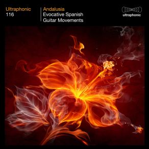 Download track Flor De Azahar Ultraphonic