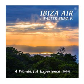 Download track A Wonderful Experience (2020 Edit) Walter Silva P