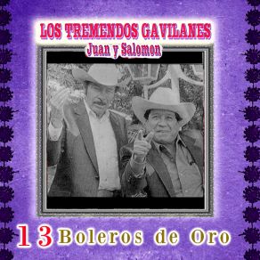 Download track Cariñito Chiquitito Los Tremendos Gavilanes Juan