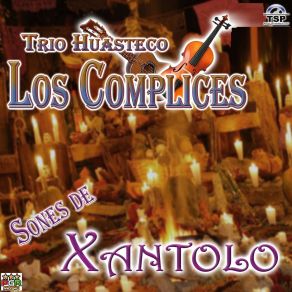 Download track El Guajito Trio Huasteco