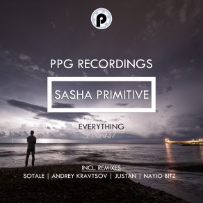 Download track Everything (Andrey Kravtsov Remix) Sasha PrimitiveAndrey Kravtsov