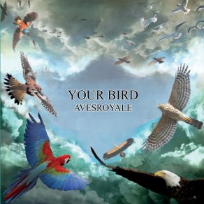 Download track Nobody Is Brighter Than The Light Your Bird