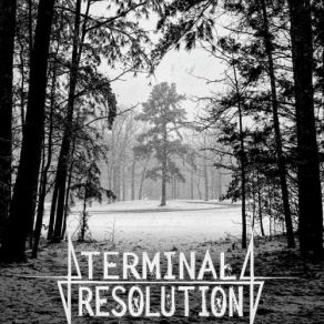 Download track Nightingale Terminal Resolution