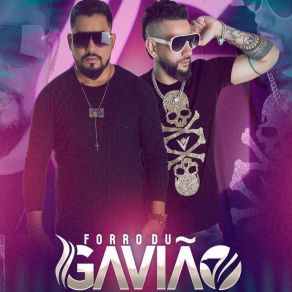 Download track Rebola Lentin Forró Du Gavião