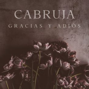 Download track Gracias Y Adiós Cabruja