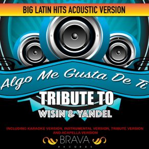 Download track Algo Me Gusta De Ti (Acoustic Version) Tribute To Wisin & Yandel [Tribute] Brava HitMakersThe Tribute