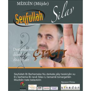 Download track Disa Buhare (Silav) Seyfullah