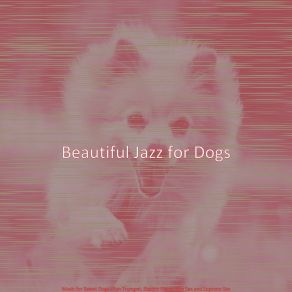 Download track Sunny Morning Dog Walks Beautiful Jazz For Dogs