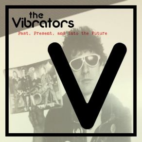 Download track Wild Cheetah The Vibrators