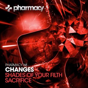 Download track Shades Of Your Filth (Original Mix) The Changes