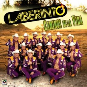 Download track El Sultan Grupo Laberinto