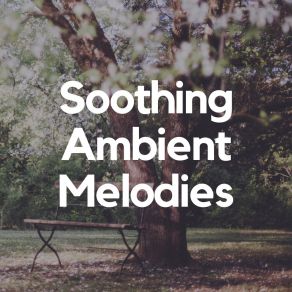 Download track All Night Ambience For Sleeping Babies, Pt. 17 Music For Relaxing