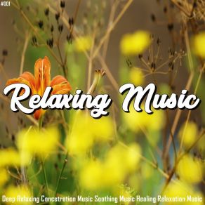 Download track Powerful White Noise Meditation Relaxing Music Therapy