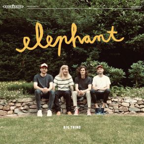 Download track Bird's Eye View (Reprise) Elephant