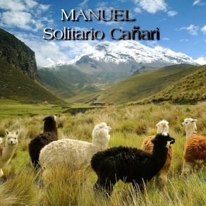 Download track Picaflor Manuel Solitario Cañari