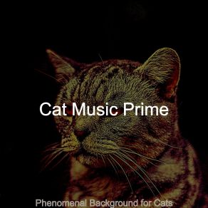 Download track Lonely Music For Kittens Cat Music Prime